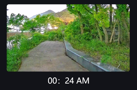 暗闇の中で見る: 暗視セキュリティ ブラック ライト カメラの簡単なガイド